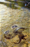 Otters and Kingfisher-Vadim Gorbatov